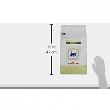 Royal Canin C-58331 Feline Peditrico Growth - 4 Kg