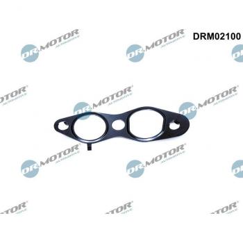 Junta de Válvula EGR DR.MOTOR AUTOMOTIVE DRM02100