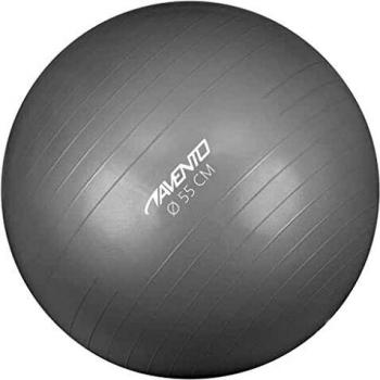 Avento Silver 55 cm Anti-Burst Fitness/Gymnastics Ball