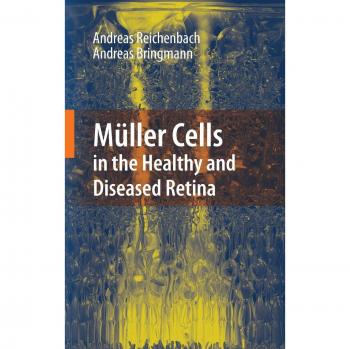 Müller Cells: Insights into Healthy and Diseased Retina Functions