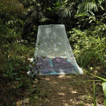 Mosquitera Outdoor Cocoon 230 x 150 cm Verde Silt Unisex