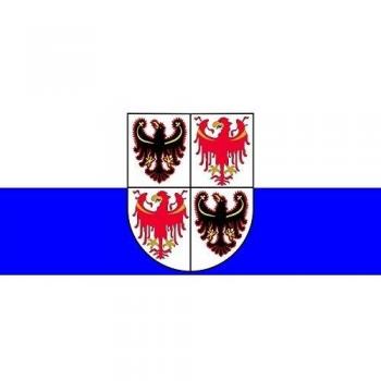 DIPLOMAT-FLAGS Trentino-Alto Adigio o Trentino-Tirol del Sur Bandera | Bandera Paisaje | 0.06m² | 20x30cm Banderas de Coche