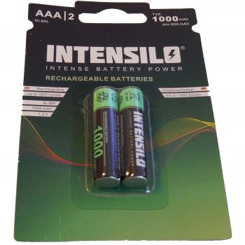 2 x pilas recargables Ni-MH 1000mAh