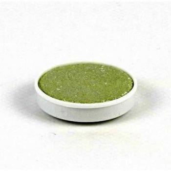 Paleta de acuarelas Nawaro, verde claro