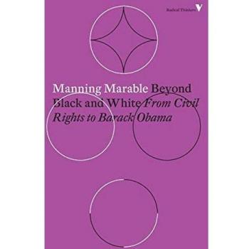 Beyond Black and White: From Civil Rights to Barack Obama