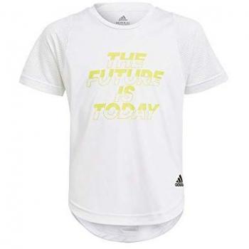Adidas Camiseta Manga Corta Xfg Primeblue Aeroready
