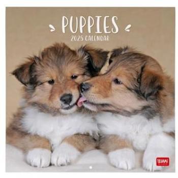 Calendario de Pared 2025 Puppies Legami - Calendario grande 30 x 29 cm, mes vista, 12 meses, planificador anual, espacio para notas, multilingüe (6 idiomas), signos del zodiaco y