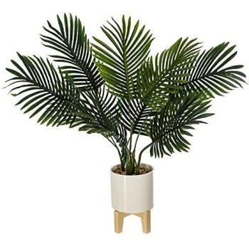 Pie de madera de cerámica de palmera H72