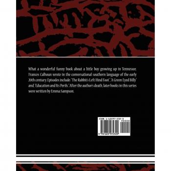 Miss Minerva y William Green Hill - Edición en Rústica, de Boyd Calhoun y Frances