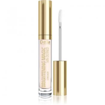 Delia Cosmetics Brightening Magic Skin Defined Illuminating Concealer Shade 05 Pink 2.5 ml