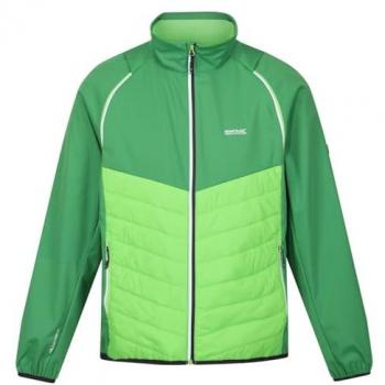 Regatta Men's Hybrid Softshell Jacket - Breathable Field Green/Jasmine Green, Size M
