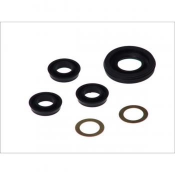 Kit de reparación del cilindro principal de freno AUTOFREN SEINSA D1700