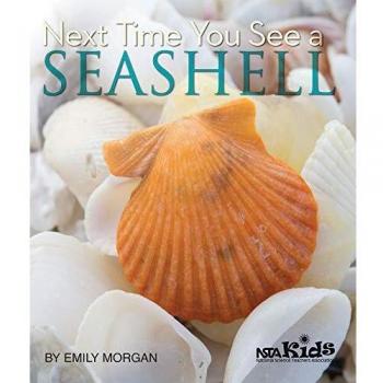 Next Time You See a Seashell