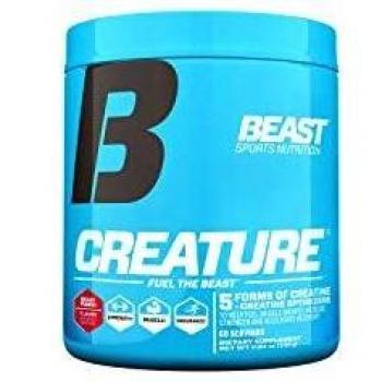 Beast Sports 300g Creature Beast Punch by Beast Sports