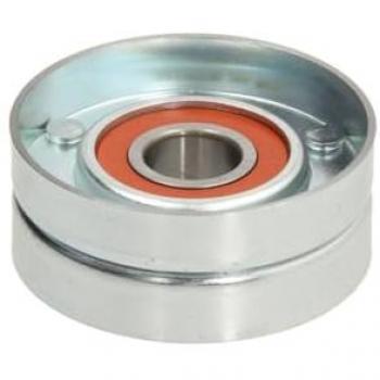 Tensor de correa poli V BTA E2W0031BTA con brazo tensor incluido