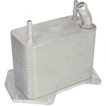 Radiador de aceite THERMOTEC D4I016TT, enfriador de motor con tecnología avanzada