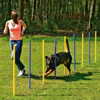 Karlie 31855 Agility Slalom
