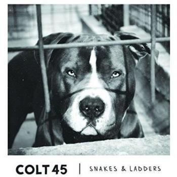 Snakes & Ladders