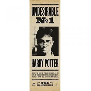 Grupo Erik Editores Poster Puerta Harry Potter Undesirable Nº1