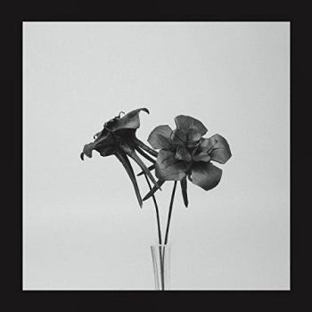 Dark Lotus [12 VINYL] [Vinilo] - Jlin