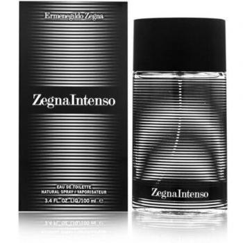 Ermenegildo Zegna Intenso Eau de Toilette para Hombre 100 ml