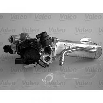 Válvula EGR Valeo 700441 - Módulo EGR, compatible con diversas marcas y modelos de vehículos, fabricado por Valeo, incluye sensor de presión y temperatura, diseño optimizado para un rendimiento eficiente en la recir