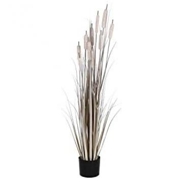 Planta Decorativa Juncos DKD Home Decor (35 x 35 x 120 cm)