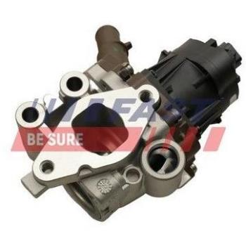 Válvula EGR Rápida FAST FT60248