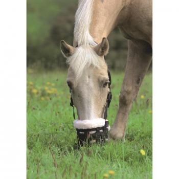 Shires Deluxe Comfort - Bozal para Caballos Negro Negro Talla:Full