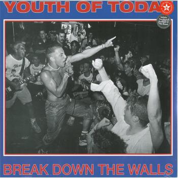 Wall Demolition Vinyl