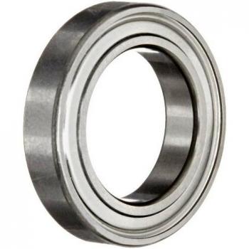 Rodamiento de bolas a garganta profunda SKF 61802-2Z - Doble escudo, interior 15mm, exterior 24mm, ancho 5mm