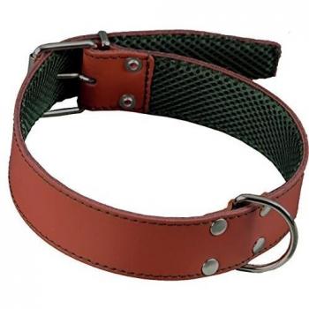 Collar Cuero Forro Amazon 65 MAR