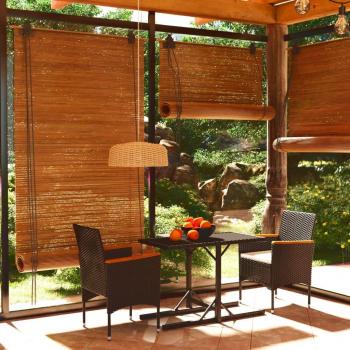 vidaXL Juego de Comedor para Jardín 3 Piezas con 2 Sillones y 1 Mesa con Tapa de Vidrio Negro