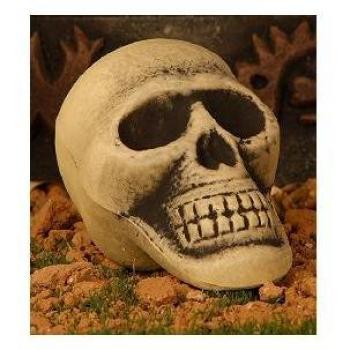 Calavera 17 cms. decrépita