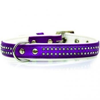 Freedog FD4000356 - Collar Polipiel Brillantes, para Perro, Color Lila
