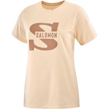 Camiseta de Manga Corta Hombre Salomon Big Logo Nude Beige Marrón