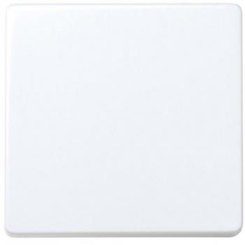 Interruptor Simon 27 Bipolar Ancho 16A Blanco Nieve 310160161 Simon