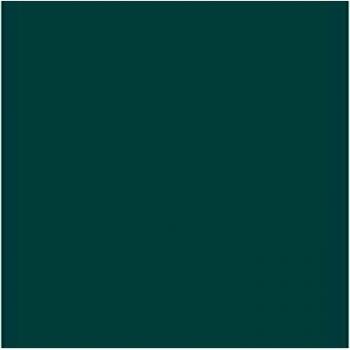 Iris 400080160 - Pack de 25 hojas de cartulina, 51 x 65 mm, 185 gr, color verde