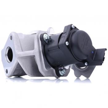 Válvula EGR DELPHI EG10415-12B1 para PEUGEOT 206, 207, 206+, 1007, Bipper, 107, 207+ y CITROËN C3, C