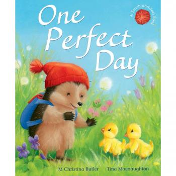 Un Día Perfecto: 11 (Pequeño Erizo, 11)