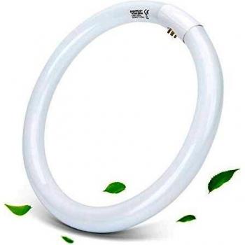 Aigostar - T9 Tubo Circular Fluorescente G10q, 32W, luz fria 6500K, 220-240V, 2100lm, 50Hz, 30cm.