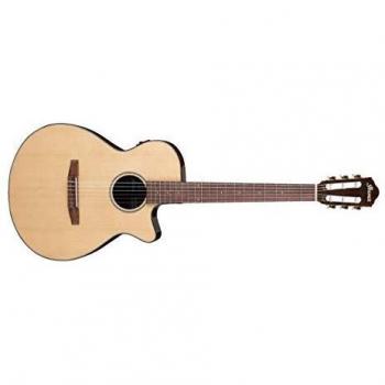 Ibanez AEG50N Natural Electro-Classical Guitar with Nylon Strings