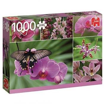 Jumbo- Orquídeas, Puzzle de 1000 Piezas