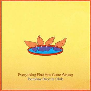 Everything Else Has Gone Wrong [Vinilo]