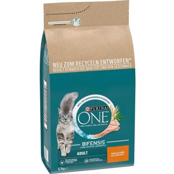 Purina ONE Adulto pollo y cereales integrales - 5,7 kg