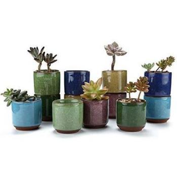 T4U Conjunto de 12 Cerámica Ice Grieta Zisha Elevada en Serie Cerámicos Planta Maceta Suculento Cactus Planta Maceta Planta Contenedor Vivero Maceta Macetas de jardín Macetas Envase