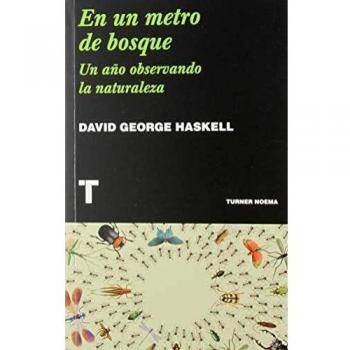 En un metro de bosque: un año observando la naturaleza