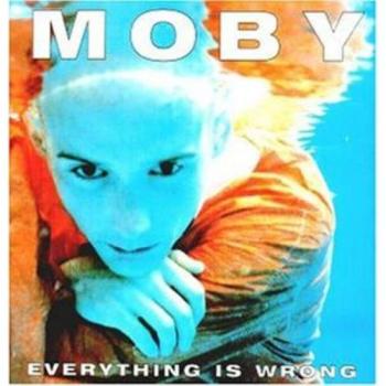 Everything Is Wrong [Vinilo]
