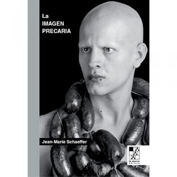 La imagen precaria: Del dispositivo fotográfico (BIBLIOTECA DE LA MIRADA