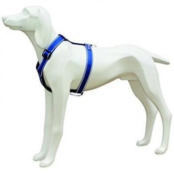 Freedog FD4002610 - Arnés Nylon Reflectante, para Perro, Color Azul